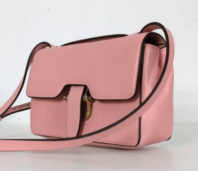 J.Crew - Small Pink Leather Cross Body - Trendy Seconds